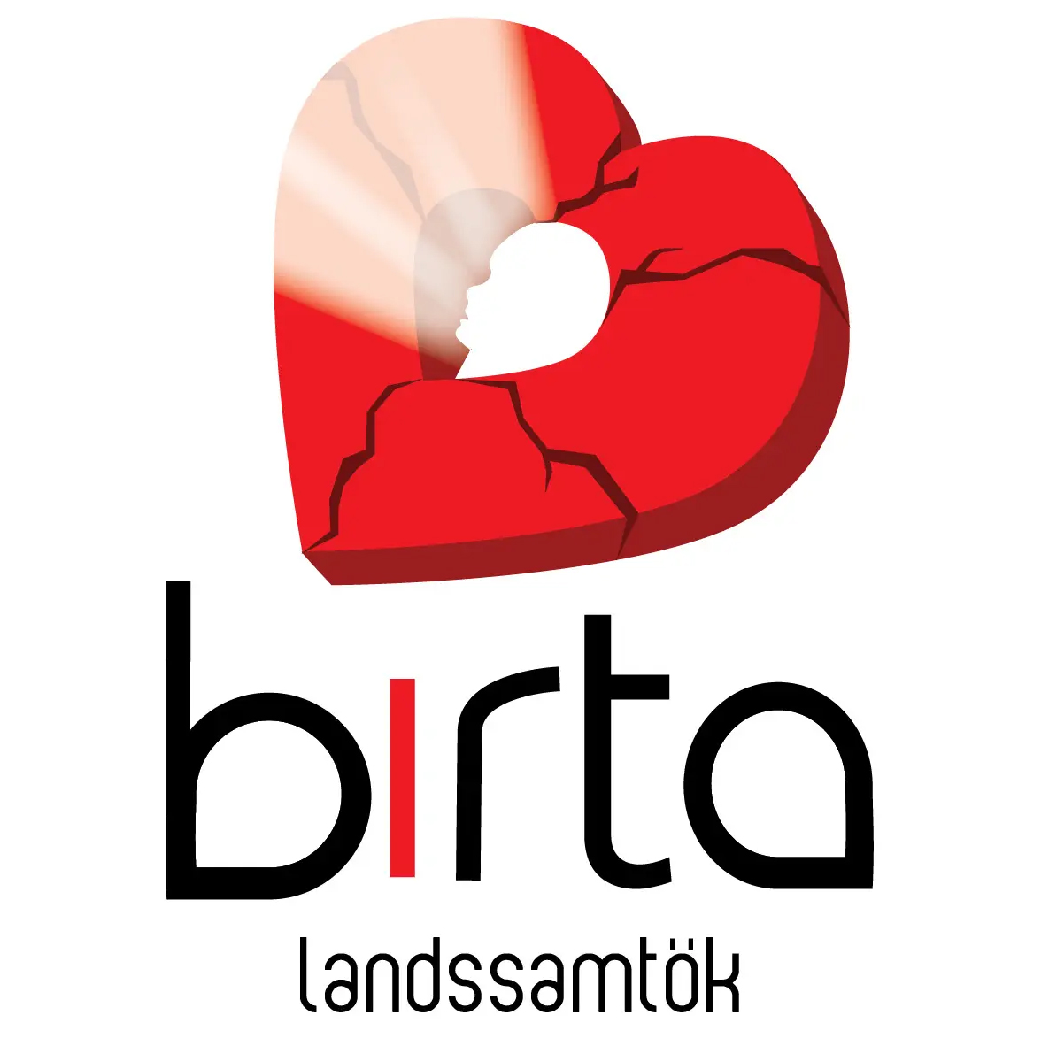 BIRTA LANDSSAMTÖK